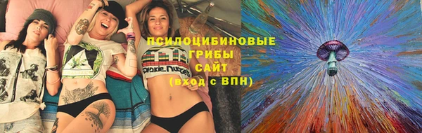 спайс Арсеньев