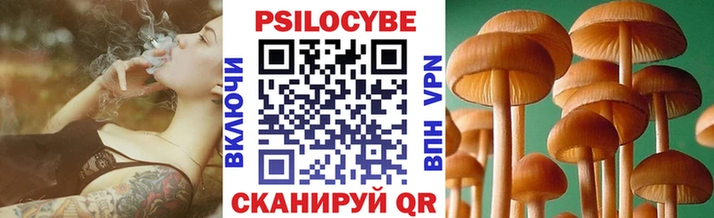 Галлюциногенные грибы Psilocybine cubensis Ясный