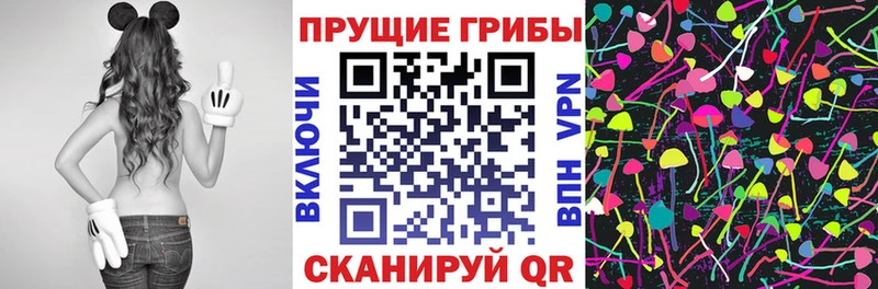 Купить закладки  Ясный  Псилоцибиновые грибы MAGIC MUSHROOMS 